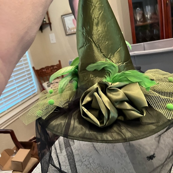 Source Unknown Accessories - Source Unknown Green Witch Hat with Black Veil